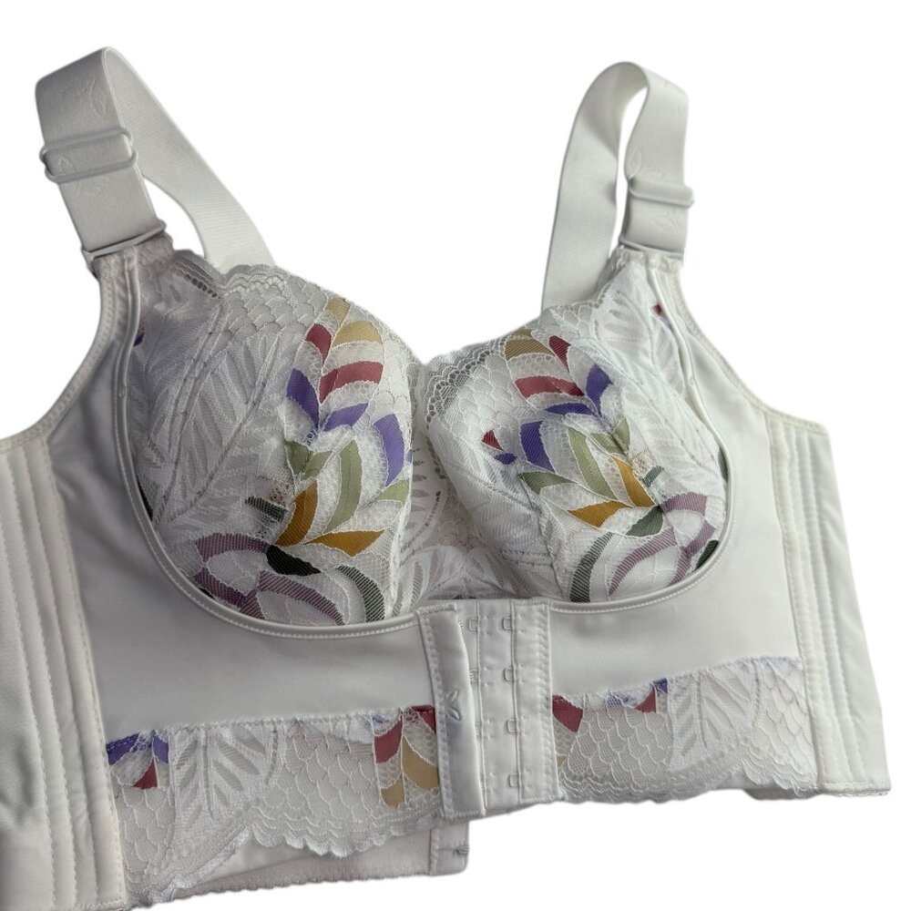 Butterfly Fancy Bra Bustier Corset Lace Ivory White Purple, Green Floral